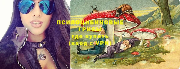 таблы Бородино