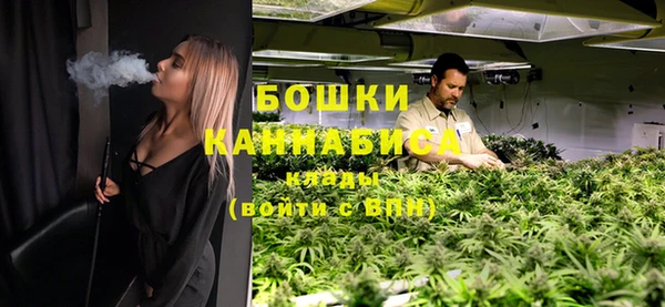дживик Бронницы