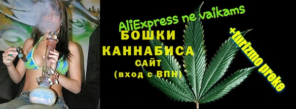 таблы Бородино