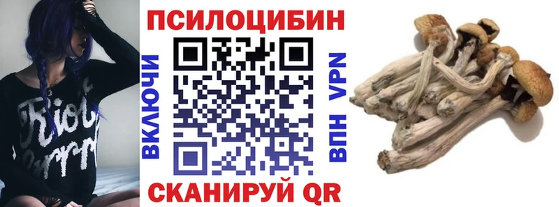 цены наркотик  Сретенск  Галлюциногенные грибы Psilocybe 